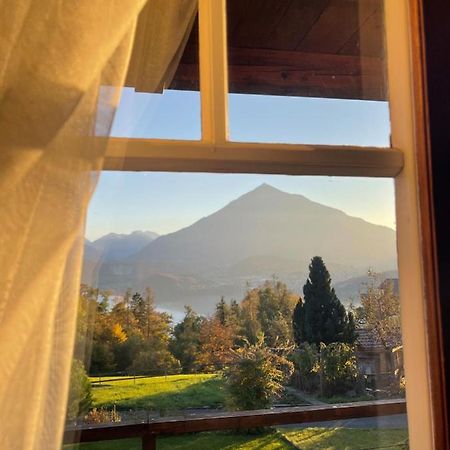 Chalet Edelweiss سيغريسويل المظهر الخارجي الصورة