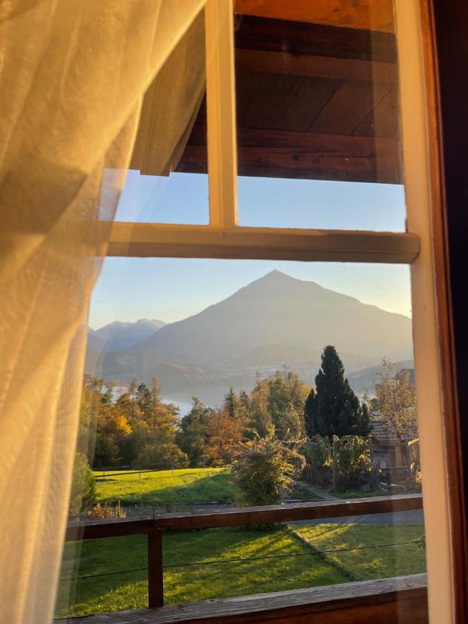 Chalet Edelweiss سيغريسويل المظهر الخارجي الصورة